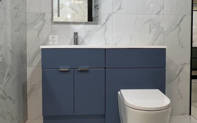 Back-to-wall toilet and blue units